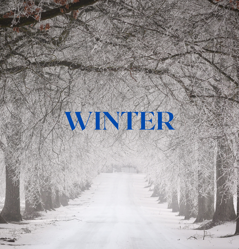 Winter Scents